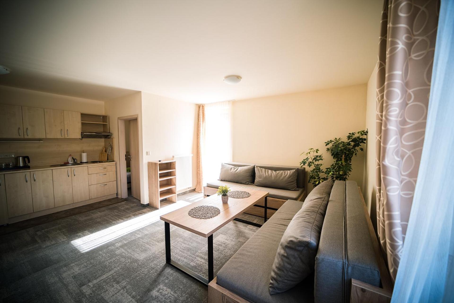 Wellness & Spa Hotel Certov Eksteriør bilde